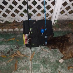 Plusinno Rod With Amphibian Reel And Small Fishing Pole Combo