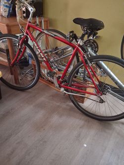 Gint bike