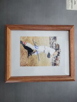 Framed Ted Williams Autographed Photo COA