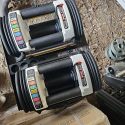 Powerblock Adjustable Dumbells 40lbs And Stand 