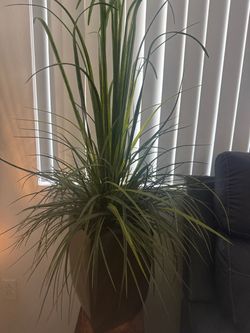 Fake plant