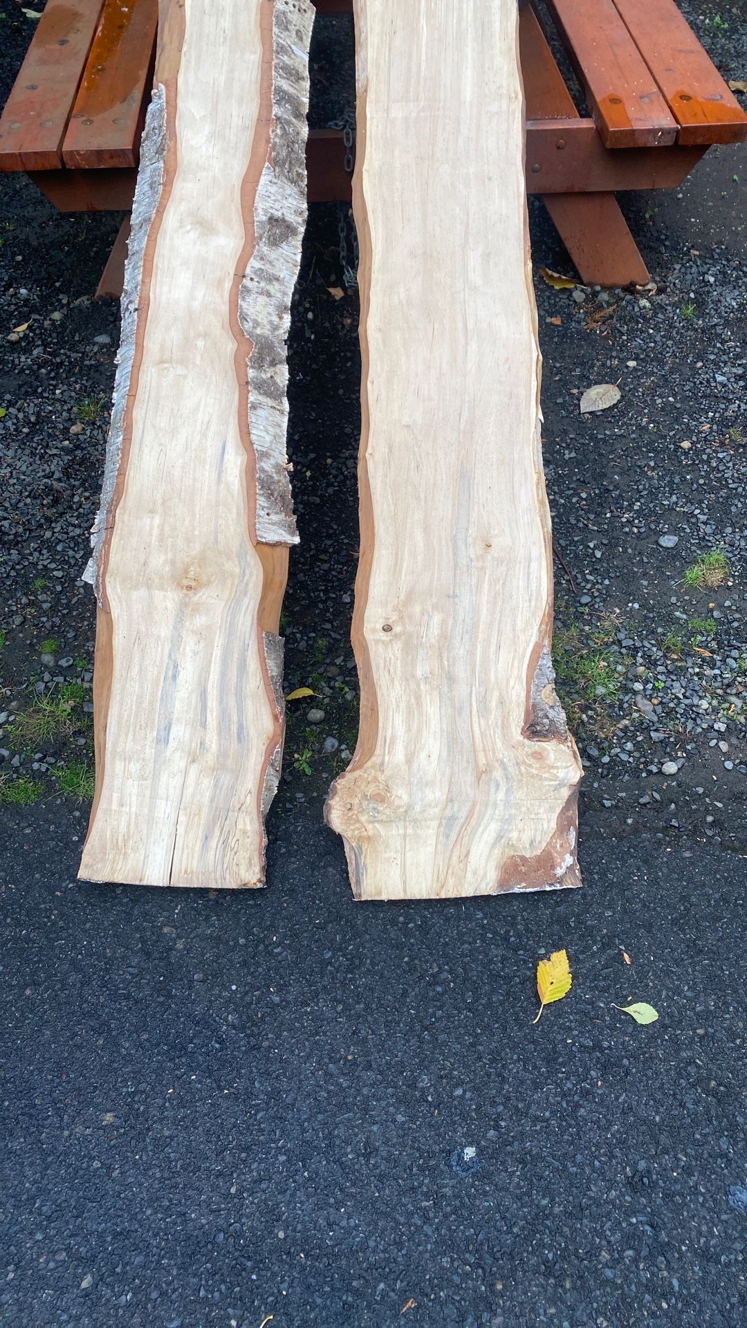 Birch boards
