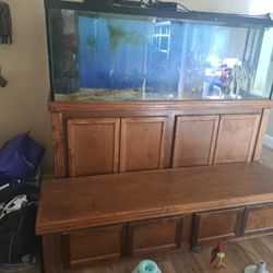 150 Gallon Fish Tank Everything Is Included Salt Water System.