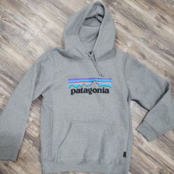 Patagonia Hoodie Mens Gray Pullover  Sweatshirt Mens S. Like new