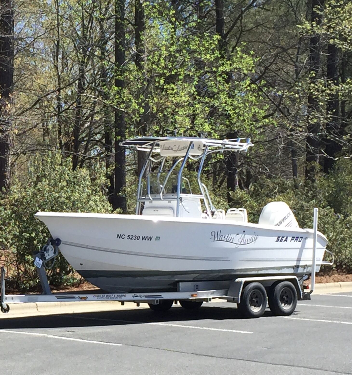 2004 Seapro with evinrude motor