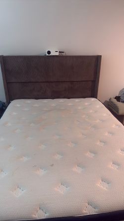 Queen size tan bed frame with bedding
