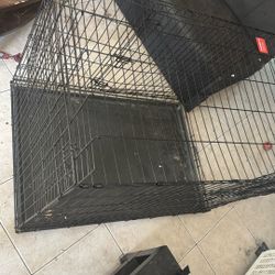 Big Dog Cage