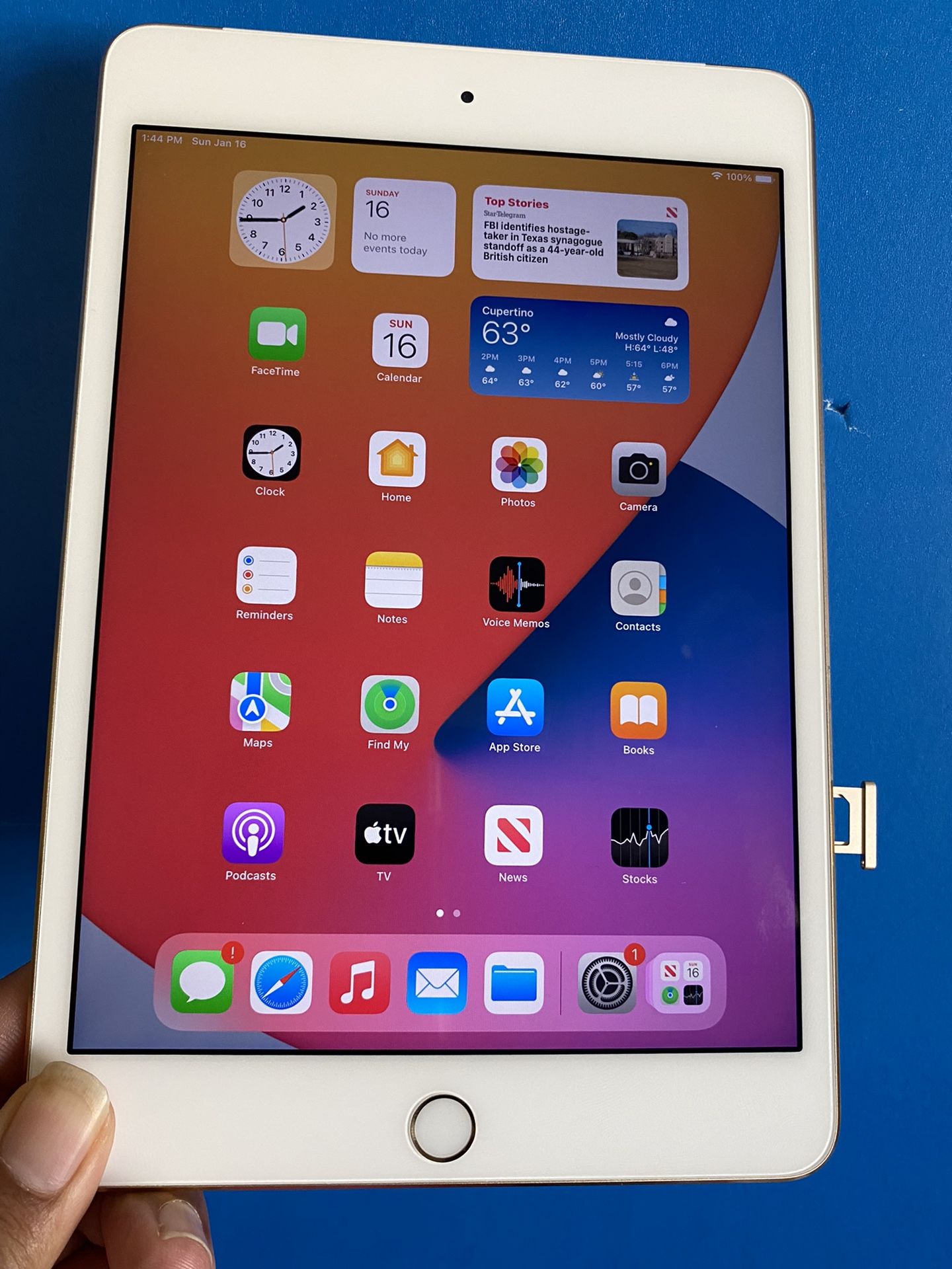 Apple IPad Mini 4th Generation (Latest IOS 15/ Retina / Touch ID 