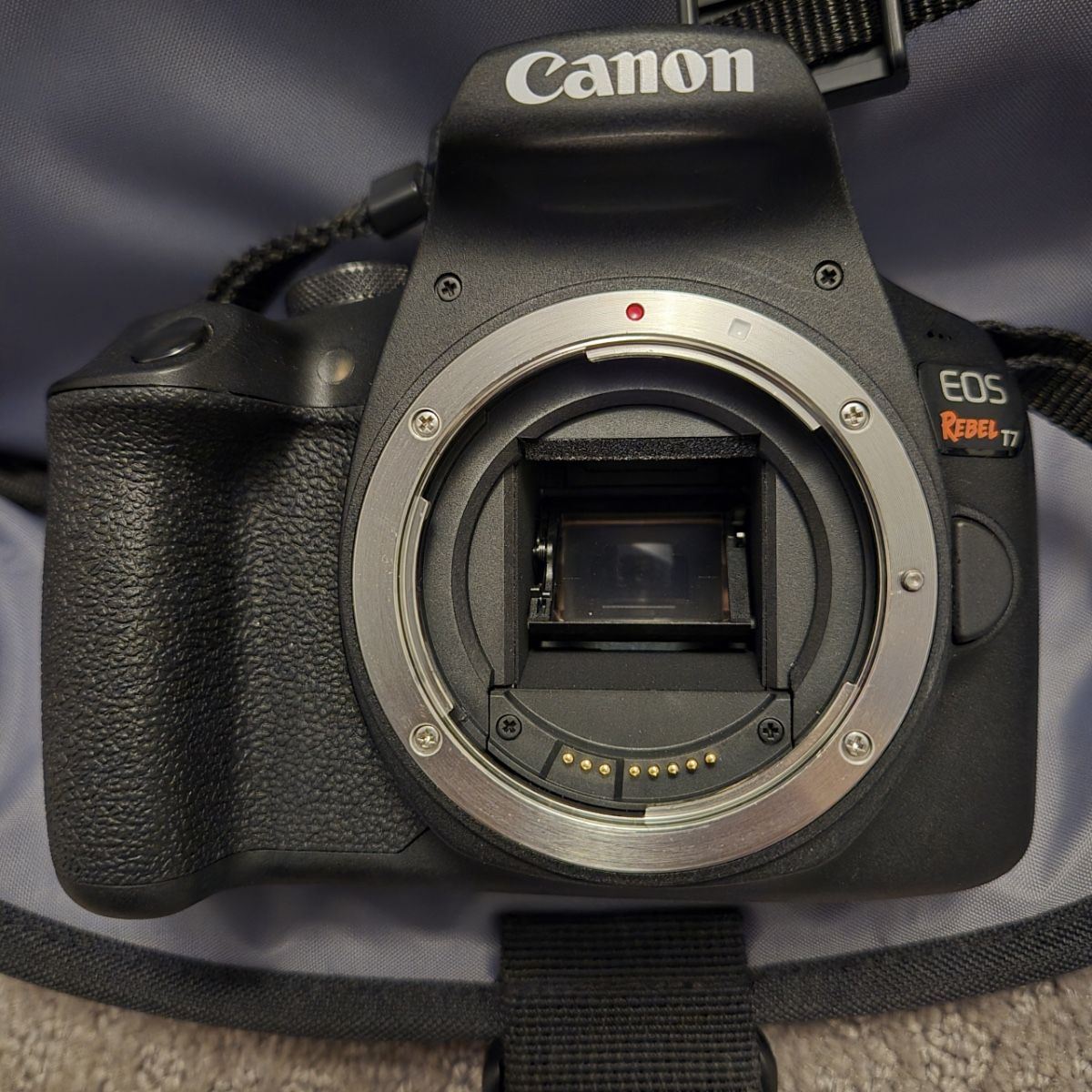 Canon EOS Rebel T7 / EOS 1500D camera bundle + tripod