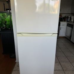 Refrigerator 100 Bucks 