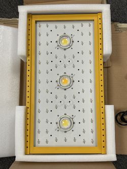 LED Glow Light