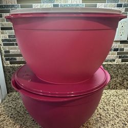 🎈🎈🎈🎈TAZONES DE 10  LITROS