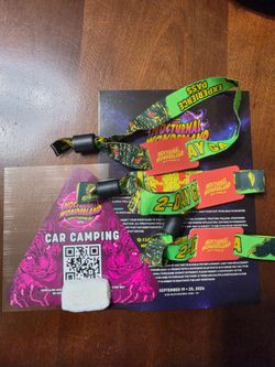 Nocturnal Wonderland Car Camping