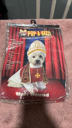 Costume dogs 🐶