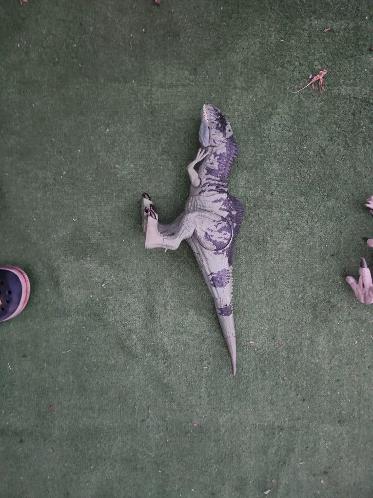 Giganotosaurus Rex Toy