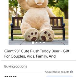 Teddy Bear 93 Fleet  Need New Friend  Need To Go 