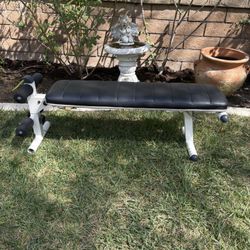 Black & White Workout Bench