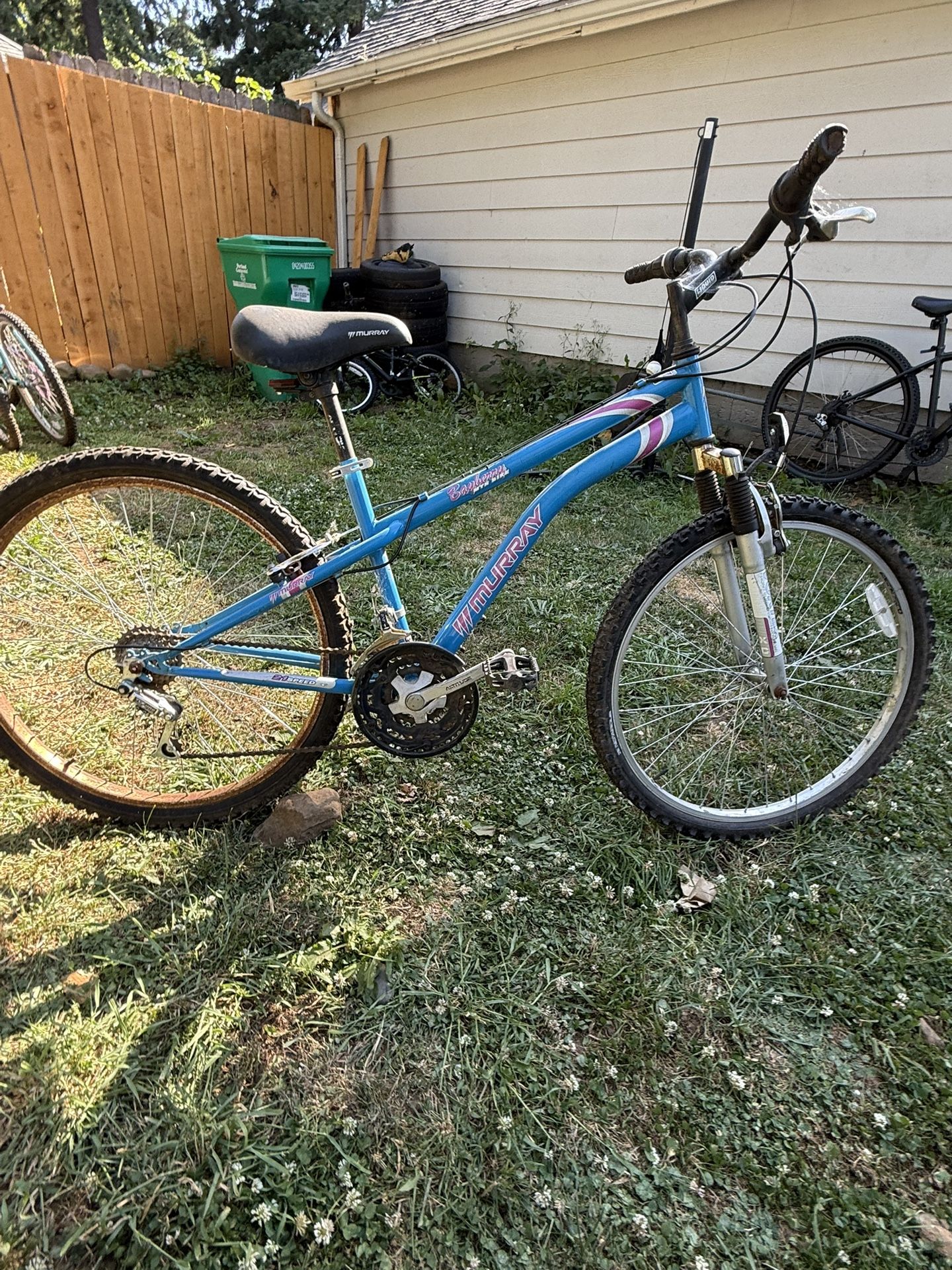 Ladies Murray Bayberry 21 Speed Mt. Bike
