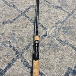 Fish eagle salmon/steelhead casting rod