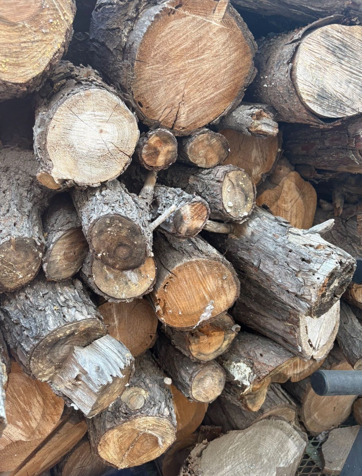 Avocado Wood 