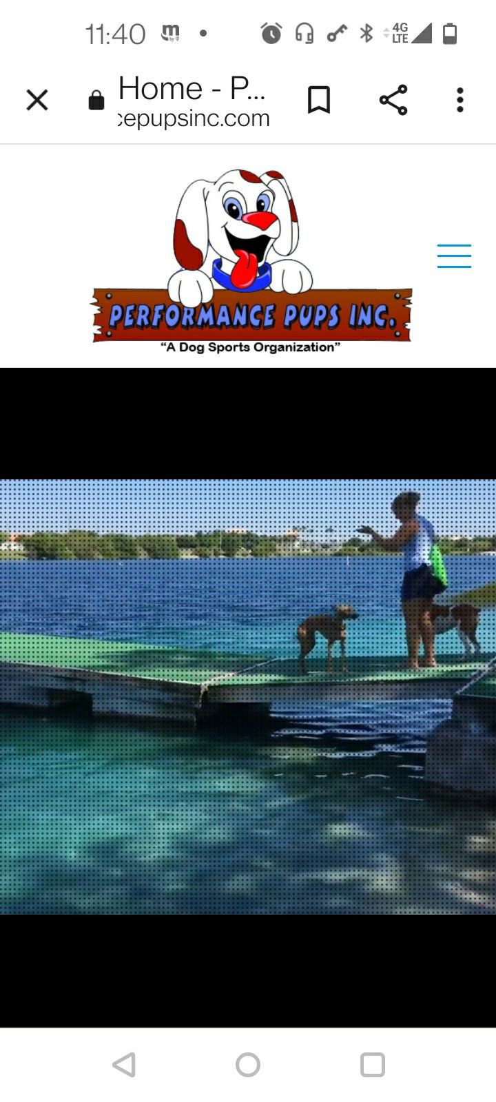 FREE Performance Paws Dog Beach Pass