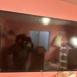 Moving SALE MUST GO - 40 Inch Roku Tv