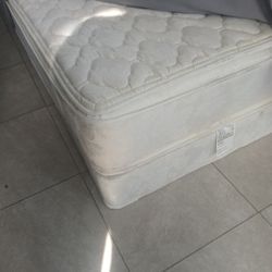Queen Size Mattress In Box Spring