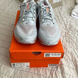 Nike Pegasus Premium Size 11