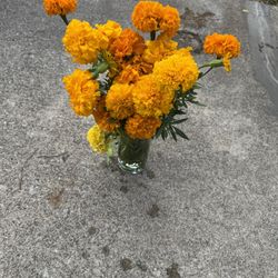 Cempasuchil flowers para sus ofrendas