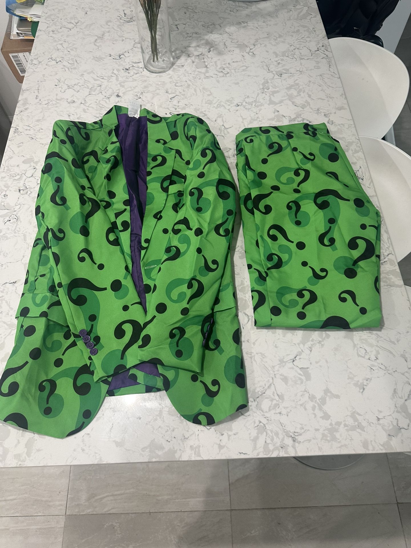 Halloween Costume The Riddler