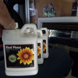 Final Phase Hydroponic Nutrients