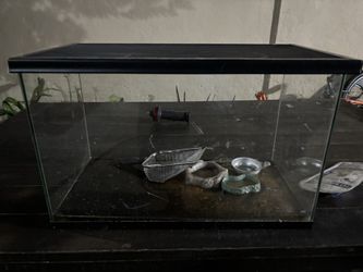 Reptiles Tank