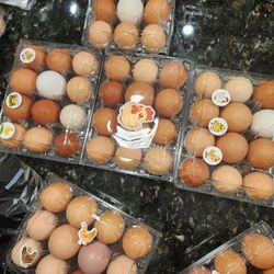 Fresh Eggs / Huevos Frescos 