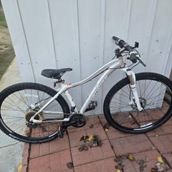 Specialized Mountain Bike Used