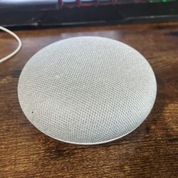 google home assistant