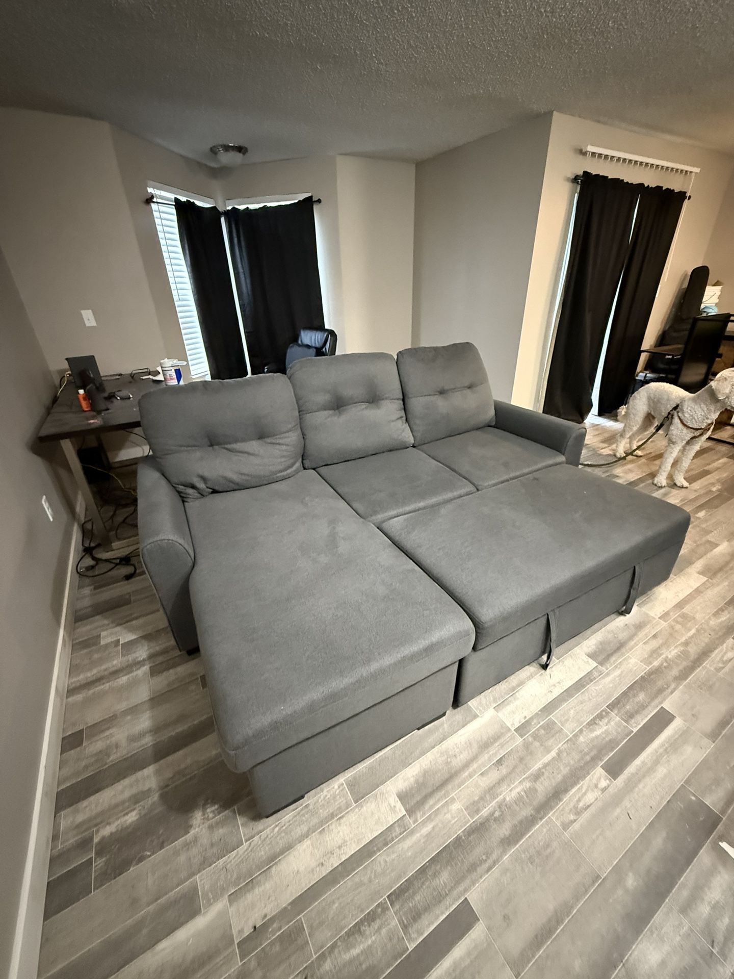 Pullout Couch