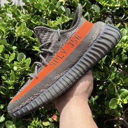 Adidas Yeezy Boost 350 Beluga