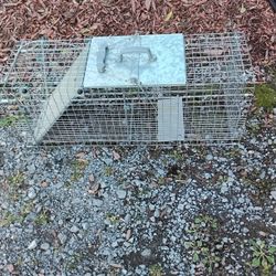 Animal Trap