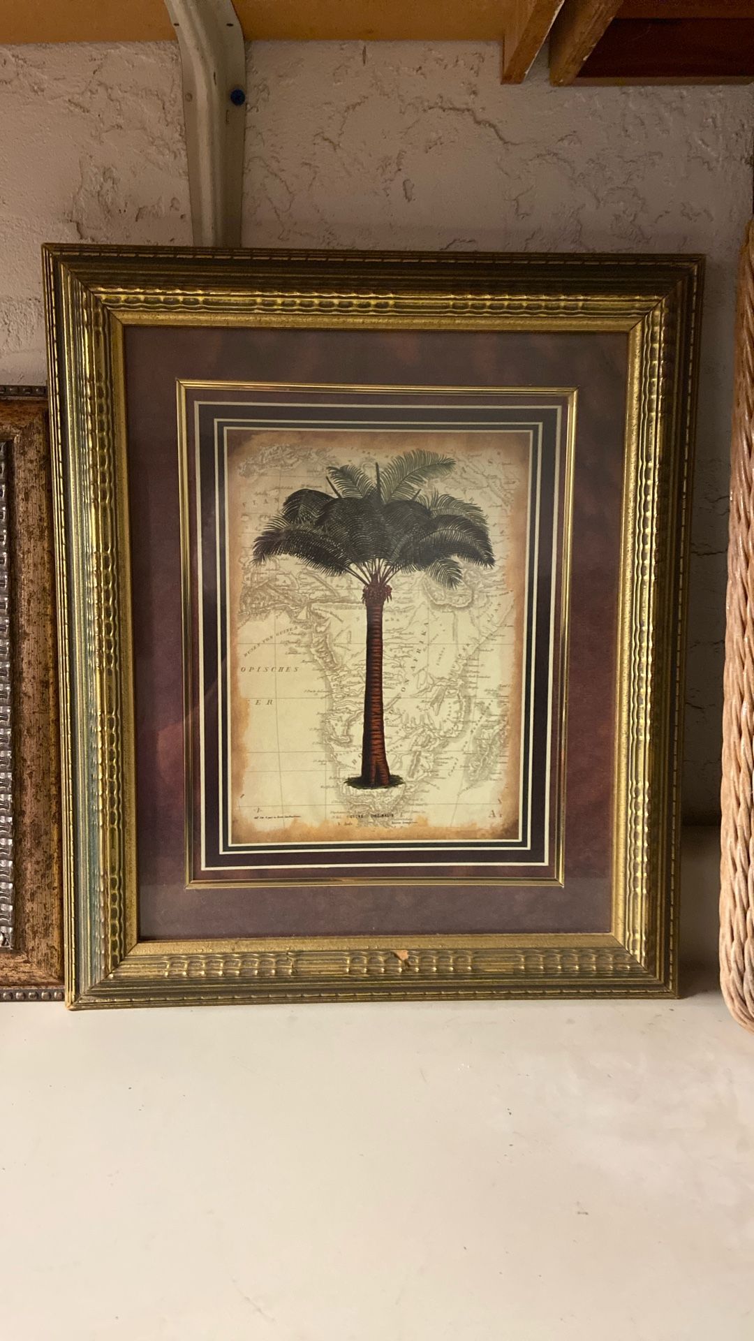 Framed Pictures