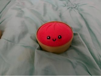REAL DUMPLING FROM 5 BELOW