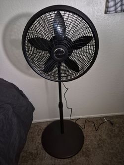 Lasko Black Pedestal Standing Fan