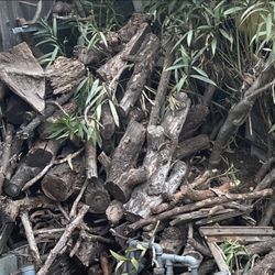 Season firewood, Oak, and hardwood