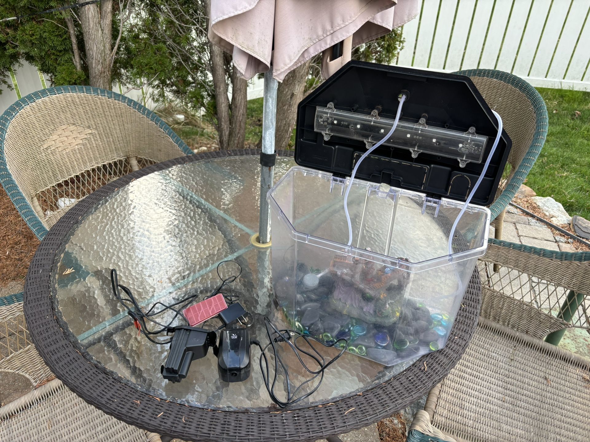 Fish Tank Setup