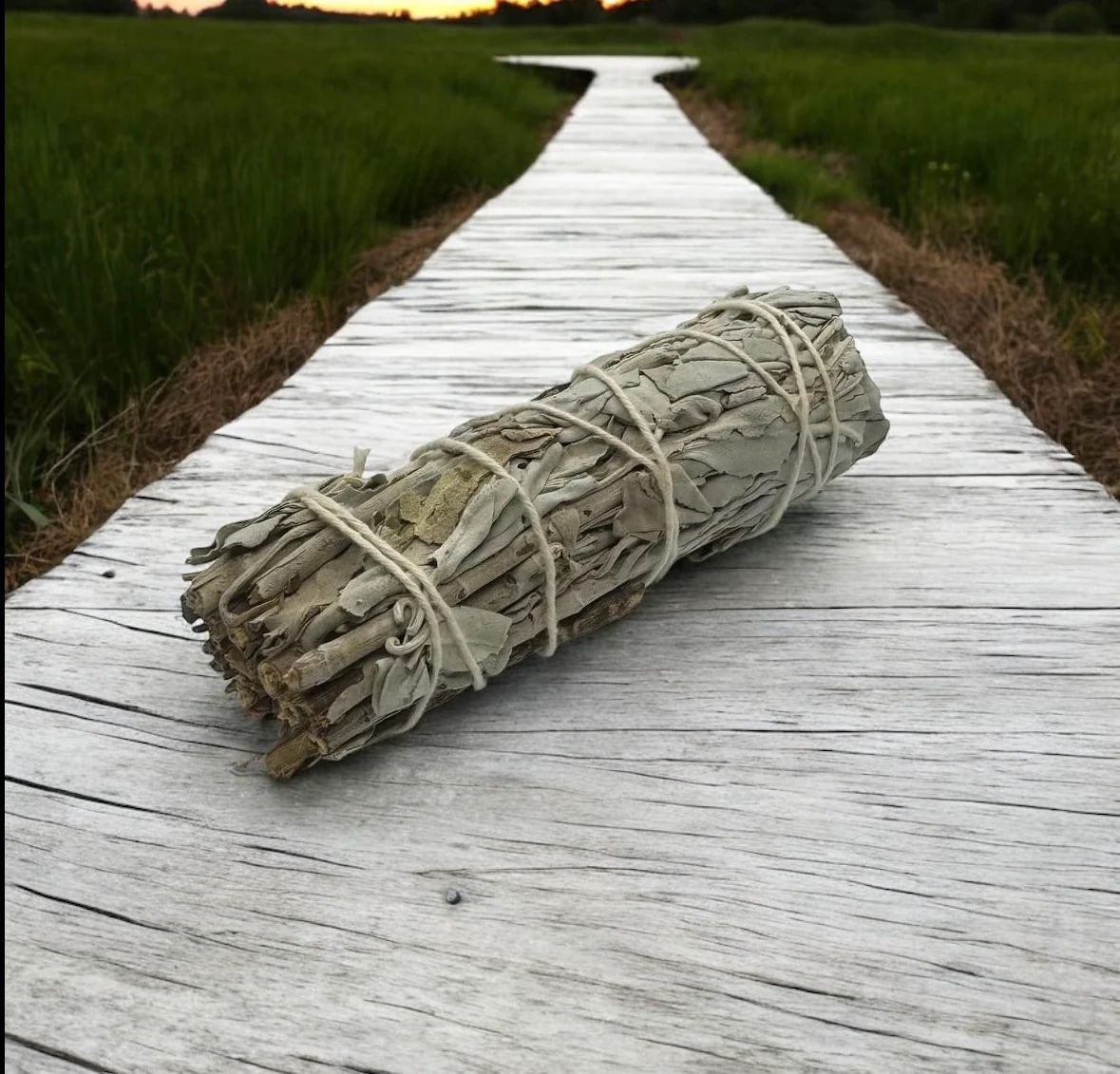 4” White Sage Stick