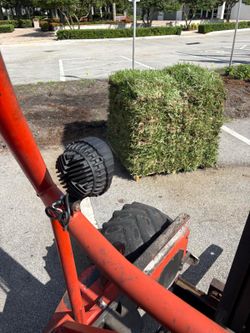 BRAND NEW SOD