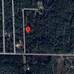 .3 acre residential lot (undeveloped) Ocala