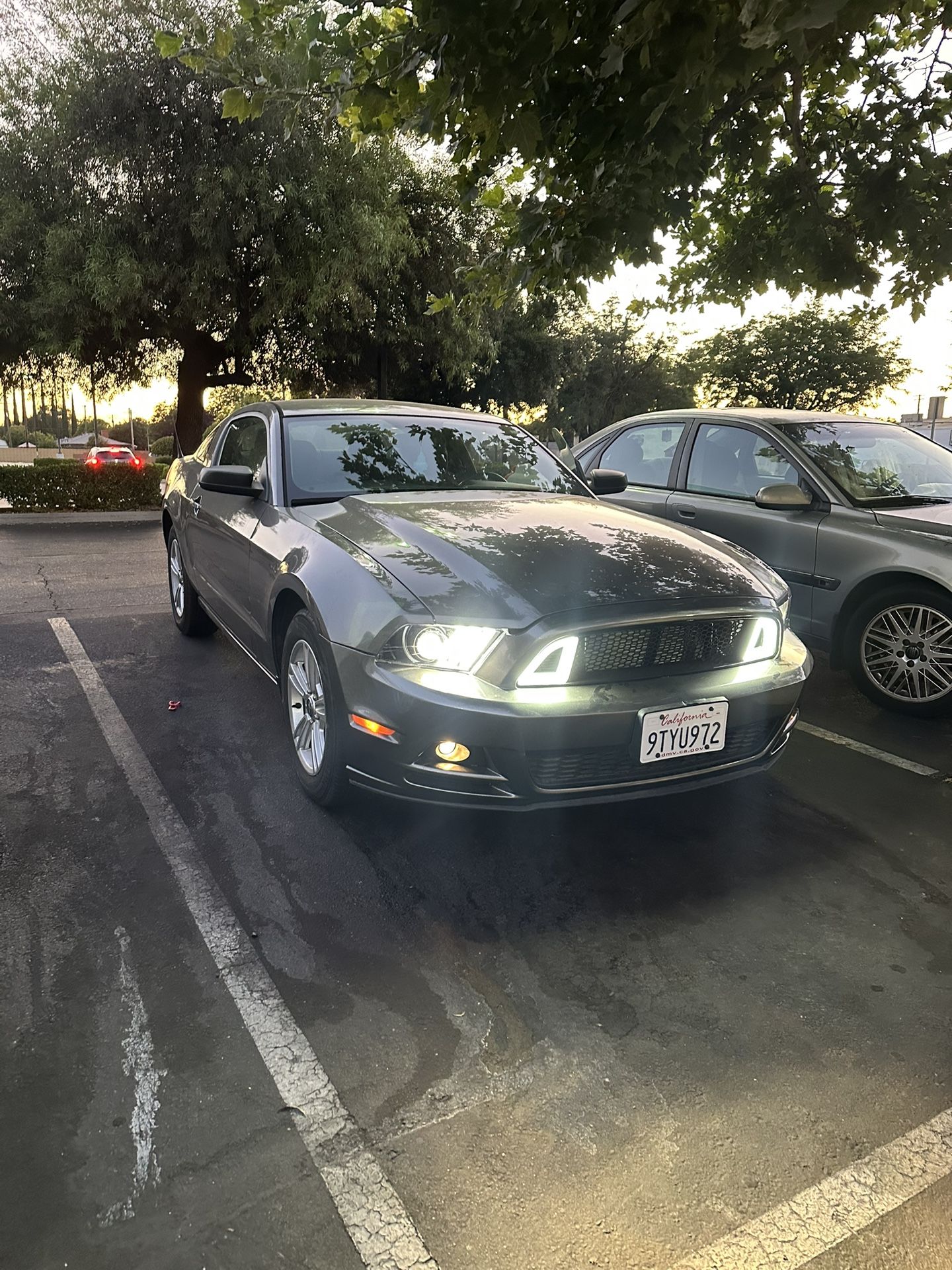 2013 Ford Mustang