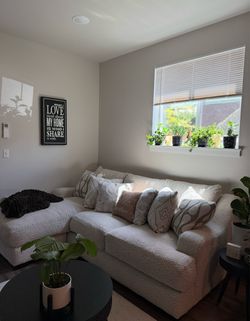Sectional Couch