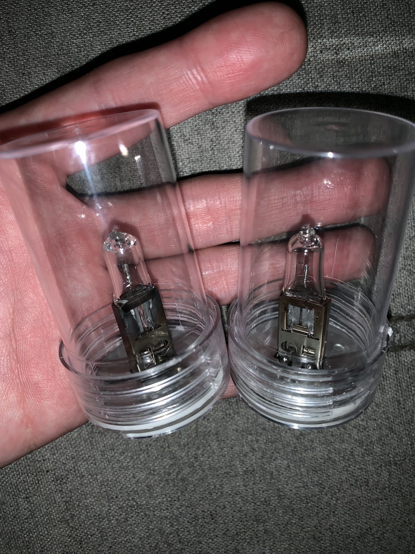 H1 Halogen Bulbs