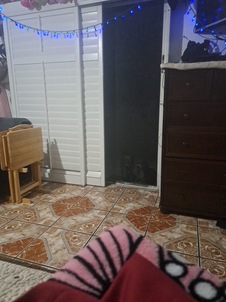 🐶Screen Door..🐶